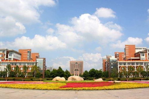 其他较高等学府