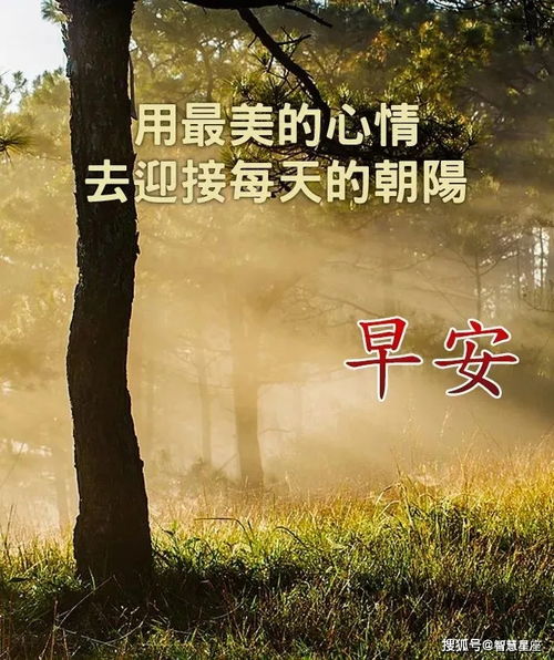 哪些星座在人生如苦狱中，总是默默承受不言累？