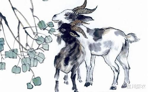 属蛇属羊的人戴什么首饰能招来财运？属羊和属蛇的财运分别指什么？