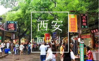 知行泉州·读懂中国：学生党的专属福利