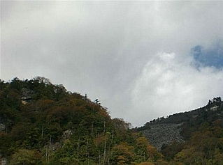 5. 鬼都不想去的荒山坡