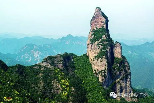 三、线上预订vs线下现场——哪一个更坑？