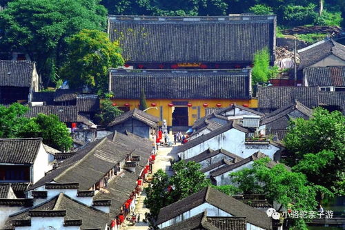 3. 书圣故里历史街区：王羲之和蔡元培双重陪伴下的文化盛宴