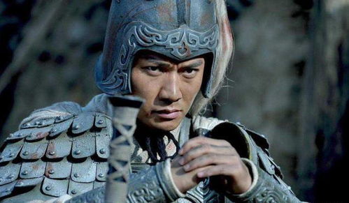 费诗：耿直的代价