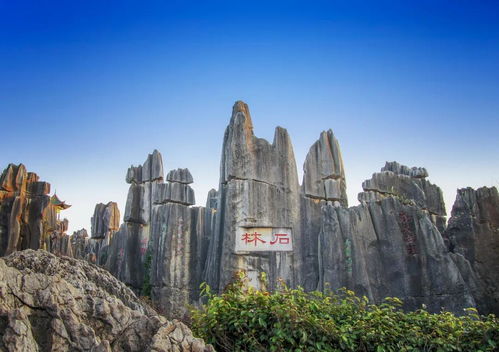 石林旅游惊天大揭秘！2026年黄历显示这天去最吉利