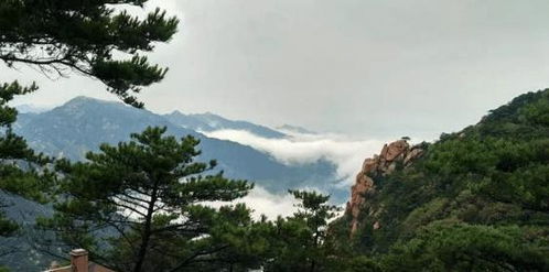孟良崮：红色旅游， 不只是喊口号