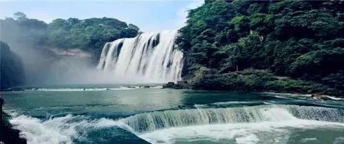 深厚度案例一：肇庆星湖的紫荆花革命——2024年3月的岭南觉醒