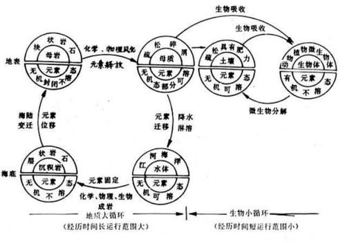 五行与穿衣饮食有何内在联系？