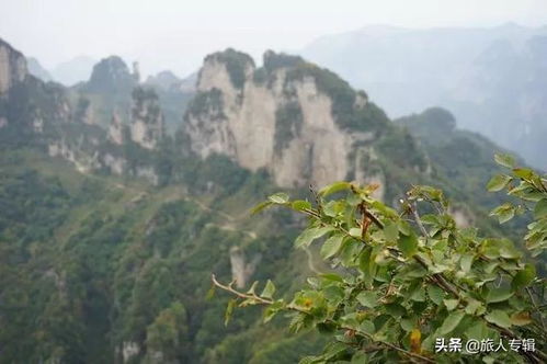 天门后沟风水故事,天门后沟风水故事大全