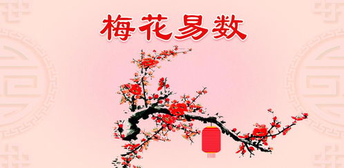 1. 梅花算命到底是个啥玩意儿？