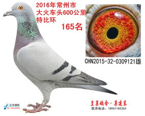 第二章：卫生监督大楼里的神秘会议