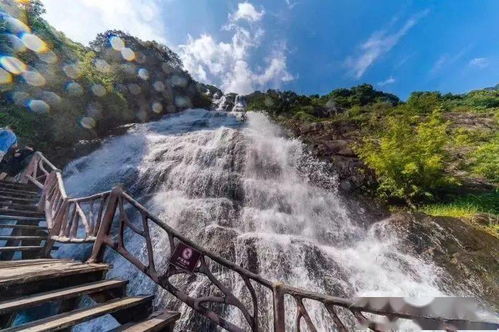 金叶子温泉的野汤会让人失忆！2026年水温将达新高！