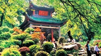 第二章：登顶后的豪华盛宴——高端餐厅也不容错过