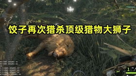 牛背上的星辰排列