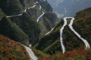 救命指南！这样玩才不会被宰