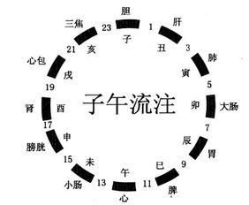 啊！那个该死的卯时！