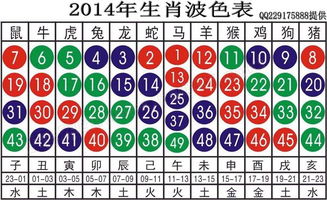 2014年属什么生肖以及命卦是什么意思？