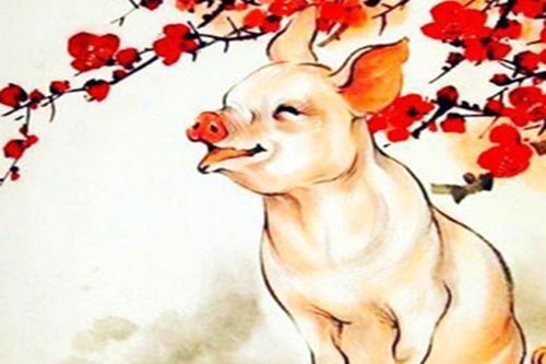 虎哥虎姐的狂野人生：用生命力碾压一切