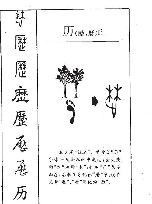 字根的基本概念与历史持续发展渊源