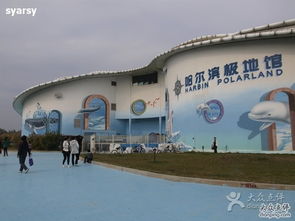 哈尔滨极地馆核心地段拆除的真实相：从商业活动繁华到生态转型