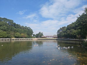 1. 天湖景区