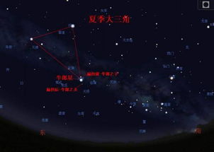 未知的害怕：星象中的“死兆星”