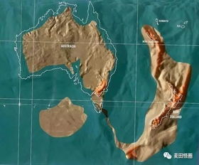 海洋？那是土豪的游乐场！