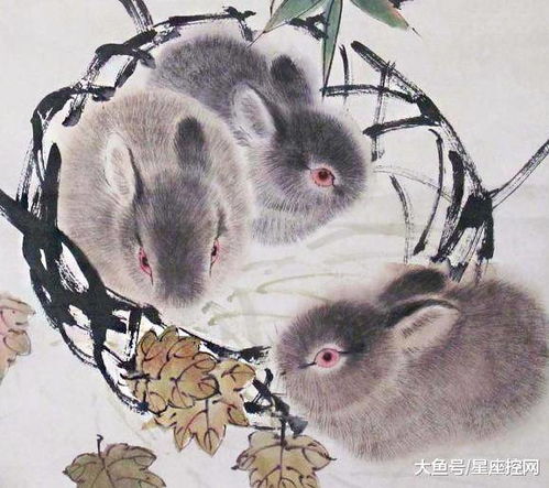属兔女是否能给属龙男带来财运，影响他们一身的财运？