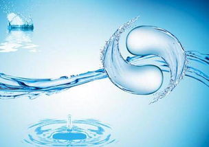 家里改成水族馆就对了！