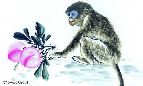 2026年属猴全年运势如何，谁能预测2026年属猴的运势走向？