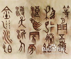 河南那片土，藏着说不完的破事儿