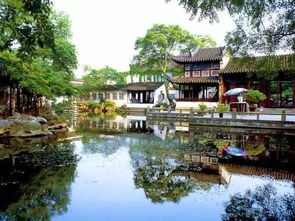 东桥的“风景”到底是啥玩意儿？