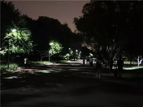 星座视角的解读