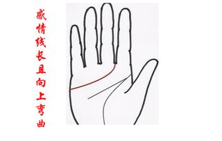 虎年(冲)：别让冲动毁掉一切