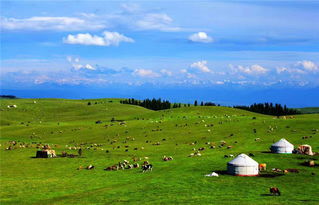 深度体验：从右玉到呼市， 你必须尝试这些事儿