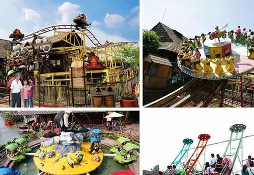 核心亮点（4岁视角）: