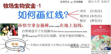 猪猪们：较宽容度爆表的乐天派