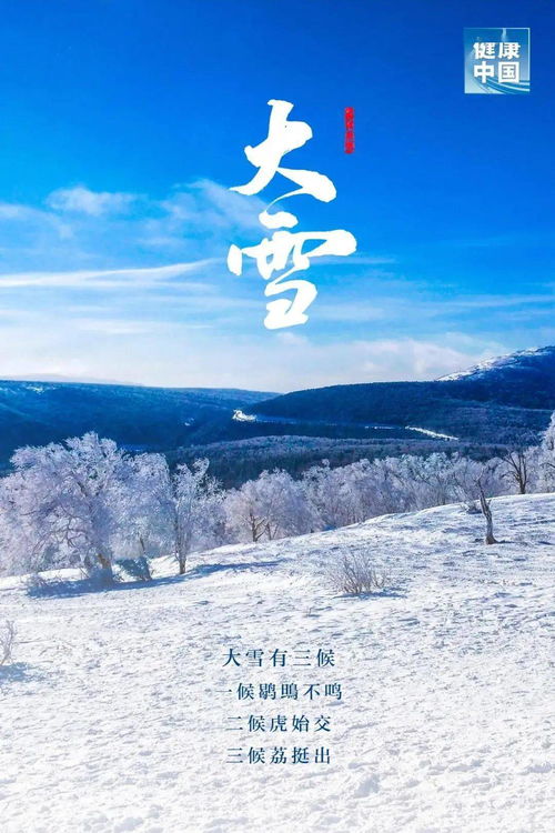 巨大雪：生肖运势大揭秘，你中招了吗？
