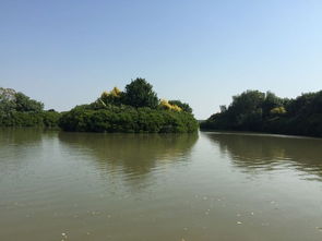 沙河湿地：烧烤+观鸟=完美周末