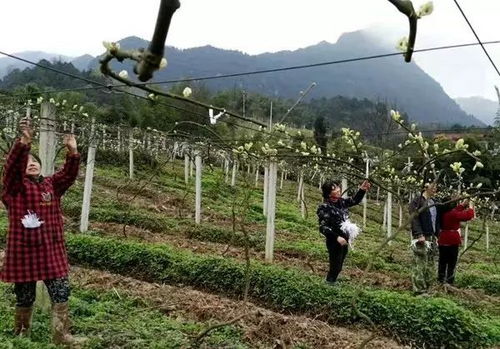 1. 那些被忽略的小细节——泥土的味道