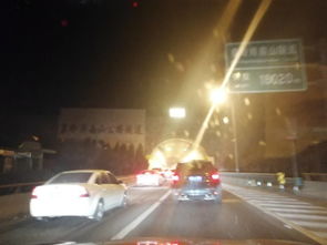 春节去哪儿耍？沉庆本地宝给你指条明路， 别在家里发霉了