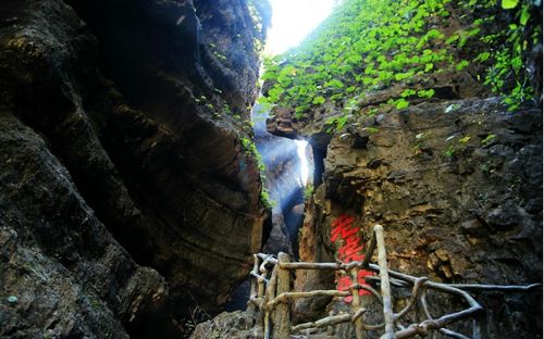 三、海棠峪：爱情悲剧与植物奇遇记