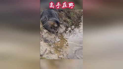 鬼影