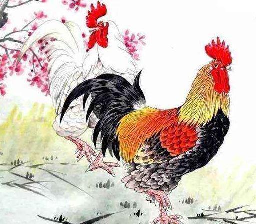 属鸡近期贵人运如何，真的会遇到贵人吗？