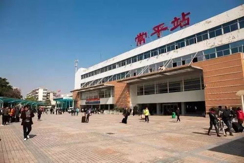 2. 常平双胞胎——两兄弟一起守护城镇