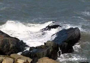 东海仙境：仙人井的潮汐陷阱凶险比浪漫梗真实