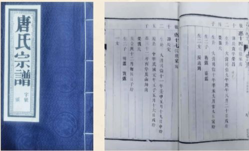 “唐”字：古典优雅？不存在的