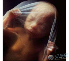 孕妇Zuo梦梦见宝宝有什么特殊含义？