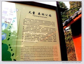 魔幻省钱实操手册