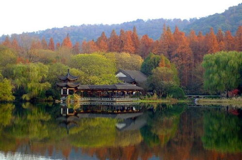南山路：文艺青年的聚集地